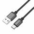 Кабель USB на Type-C Borofone BX87 2m (black)