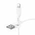 Кабель USB на Lightning Borofone BX91 (white)